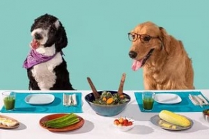 Рецепты блюд для собак и рецепты некоторых рационов